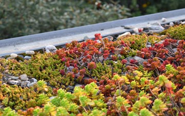 the cost of Tuckingmill green roof installation