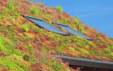 Tuckingmill living roof systems