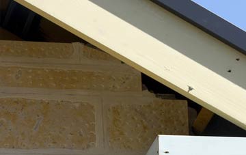 soffit repair Tuckingmill