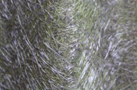 Tuckingmill fibreglass roof work